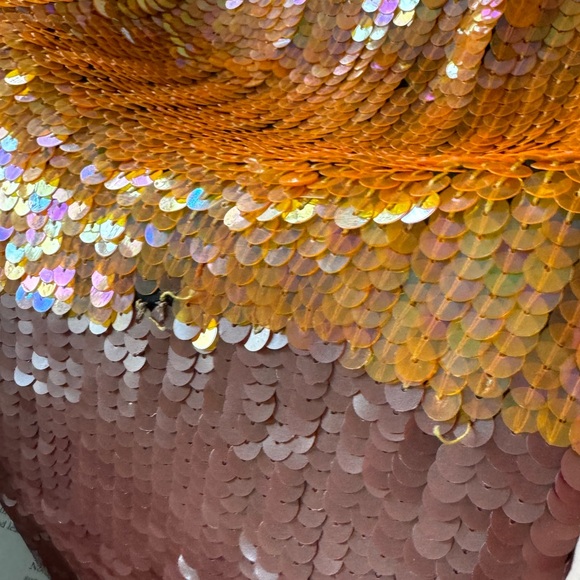 Cactus Desert Sequins Jacket - Picture 15 of 16